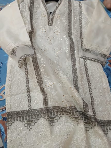 Pakistani Organza suits RM-07