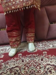 Beautiful Stitched Suit in Soft Organza with embroidery