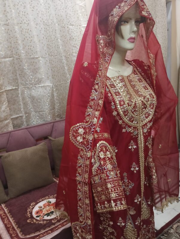 Beautiful Stitched Suit in Soft Organza with embroidery