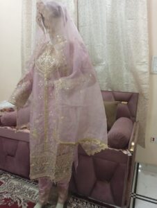Beautiful Stitched Suit in Soft Organza with embroidery